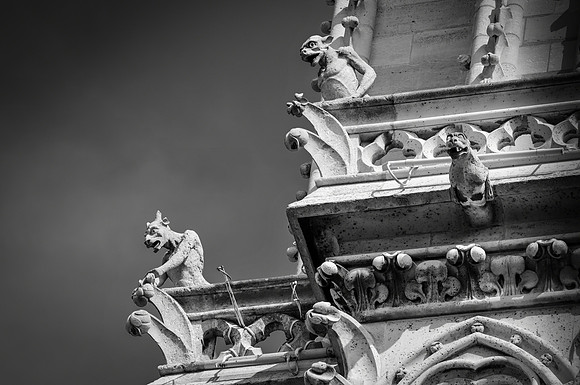 Gargoyles, Notre Dame