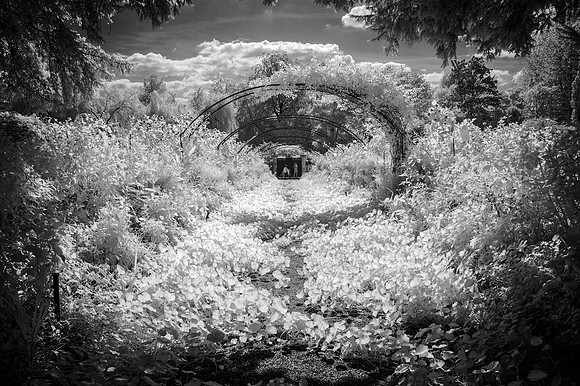 Giverny, Infra-red