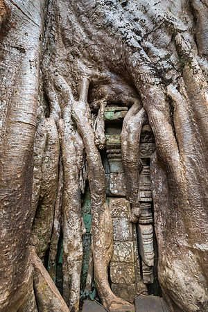 Ta Prohm
