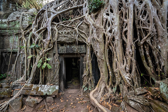 Ta Prohm