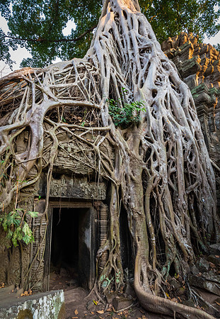 Ta Prohm