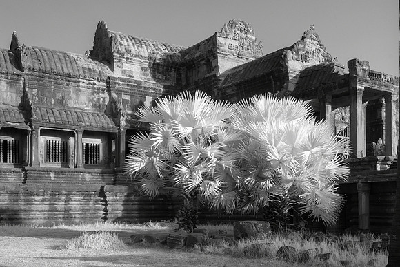 Angkor Wat IR