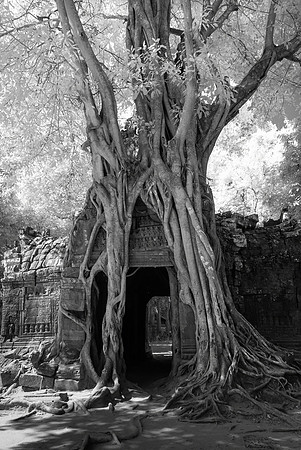 Ta Som Temple, Infrared
