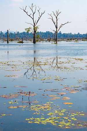 Moat at Ta Som