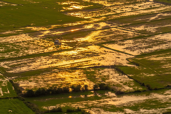 Sunset over Rice fields, Ton le Sap