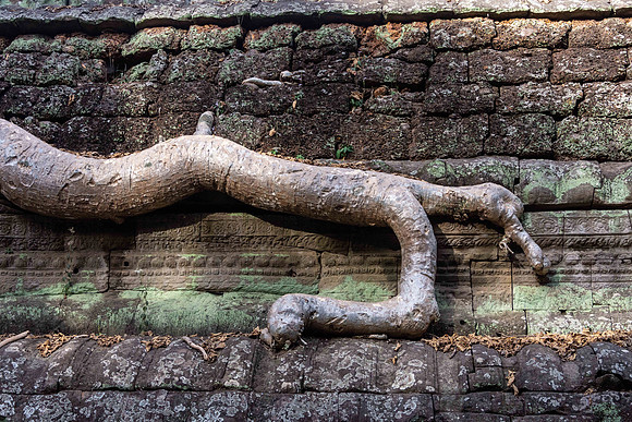 Ta Prohm