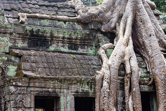 Ta Prohm