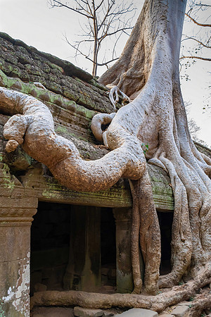 Ta Prohm