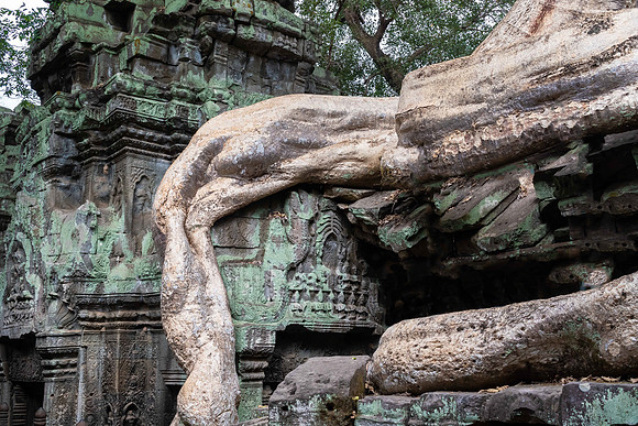 Ta Prohm