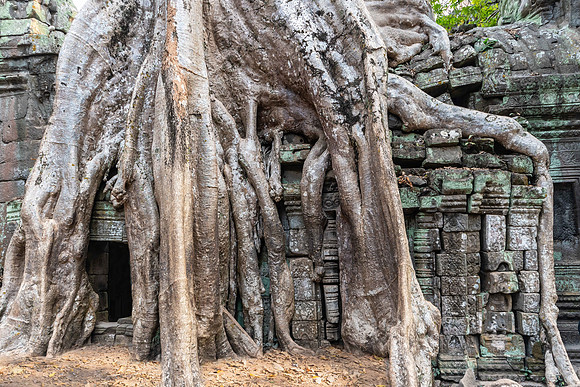 Ta Prohm