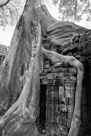 Ta Prohm