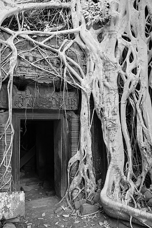 Ta Prohm