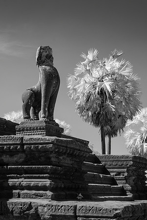 Angkor Wat IR