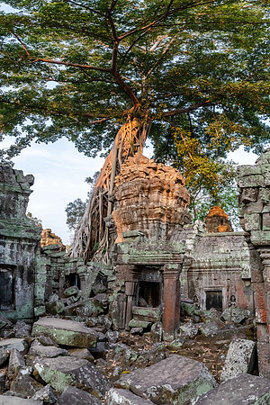 Ta Prohm