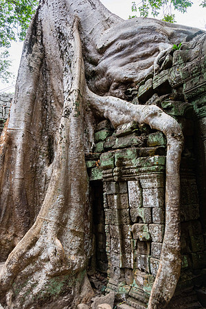 Ta Prohm