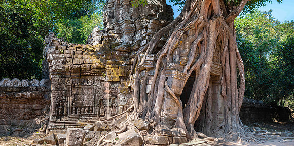 Ta Som Temple