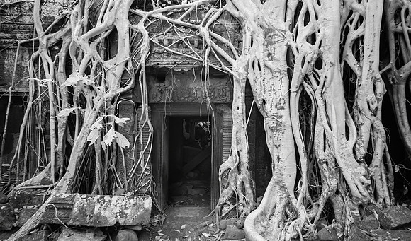 Ta Prohm