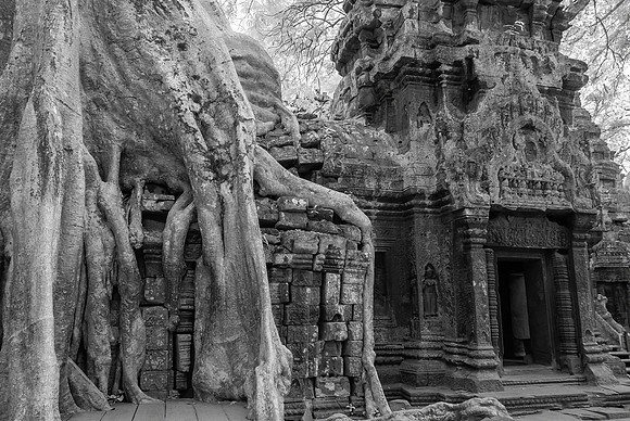 Ta Prohm