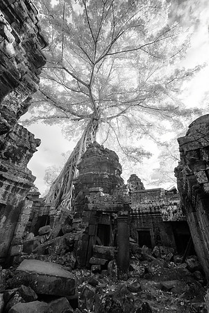 Ta Prohm
