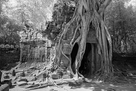 Ta Som Temple, Infrared