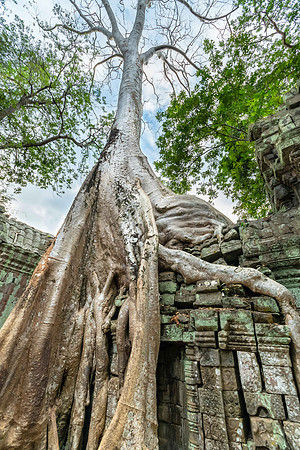 Ta Prohm
