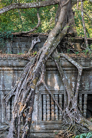 Beng Mealea