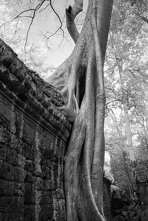 Ta Prohm