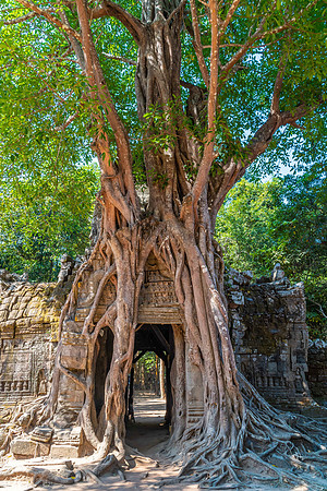 Ta Som Temple