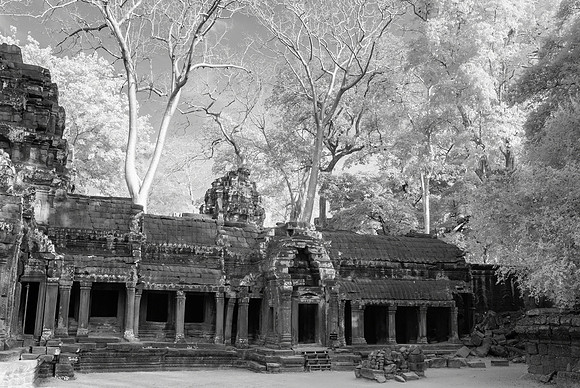 Ta Prohm