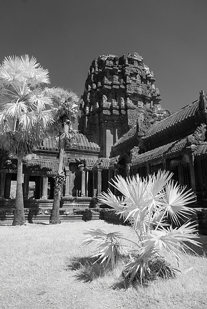 Angkor Wat IR