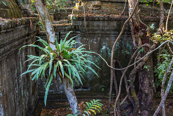 Beng Mealea