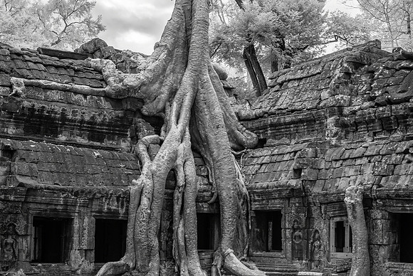 Ta Prohm