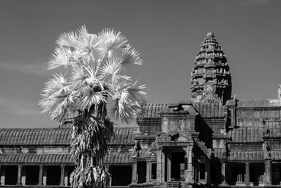 Angkor Wat IR