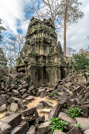 Ta Prohm
