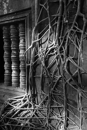 Beng Mealea, Infrared