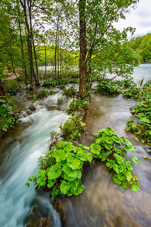 Plitvice Lakes, Croatia
