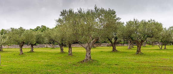 Vodnjan, Croatia