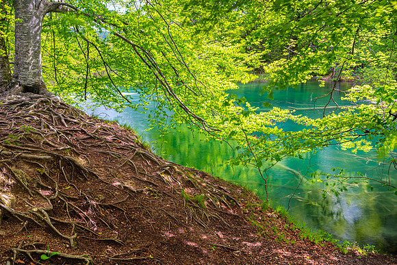 Plitvice Lakes, Croatia
