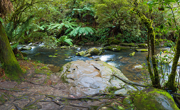 Erskine Falls Creek I