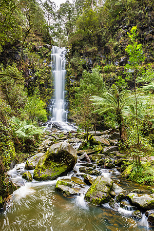 Erskine Falls I