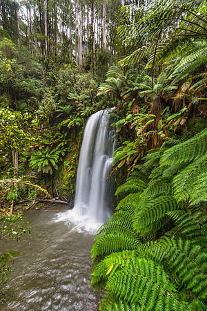 Beauchamp Falls I