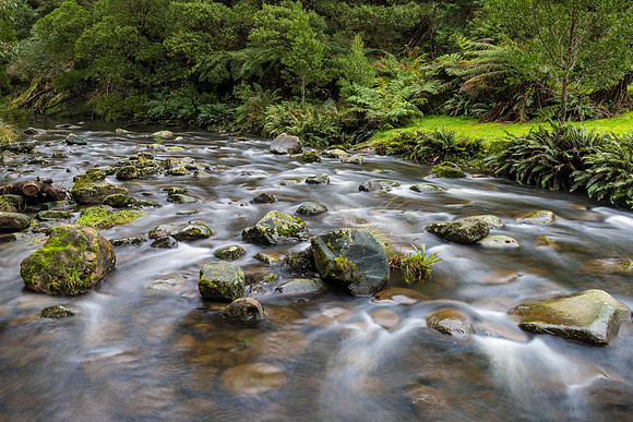 Stevenson's Falls Creek I
