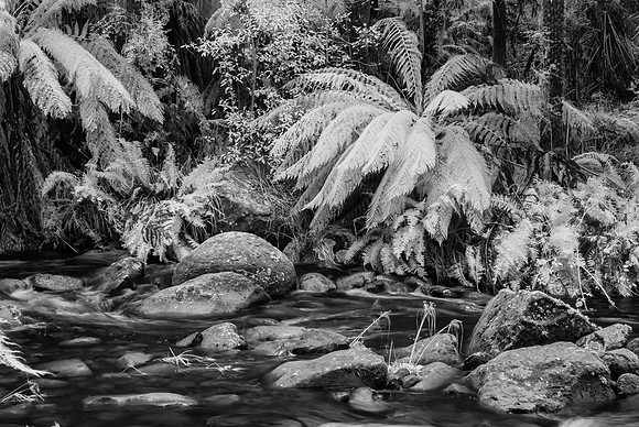 Stevenson's Falls Creek Infra-red II