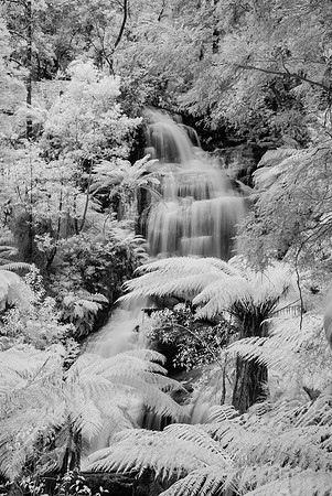 Triplet Falls Infra-red I