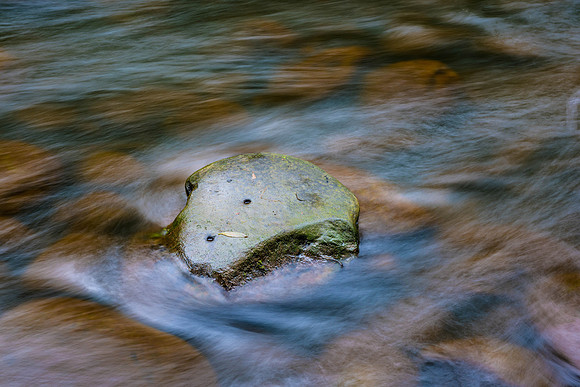Stevenson's Falls Detail