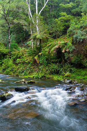 Stevenson's Falls Creek II