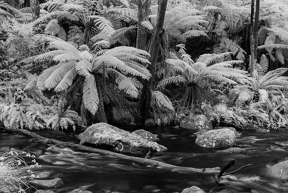 Stevenson's Falls Creek Infra-red I