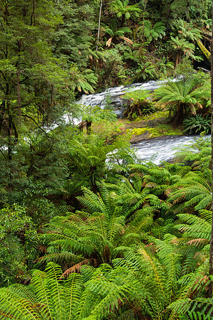 Triplet Falls Middle I