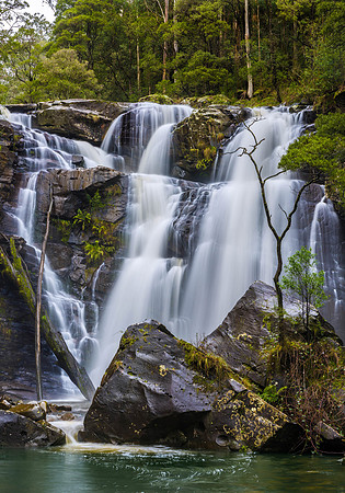 Stevenson's Falls II