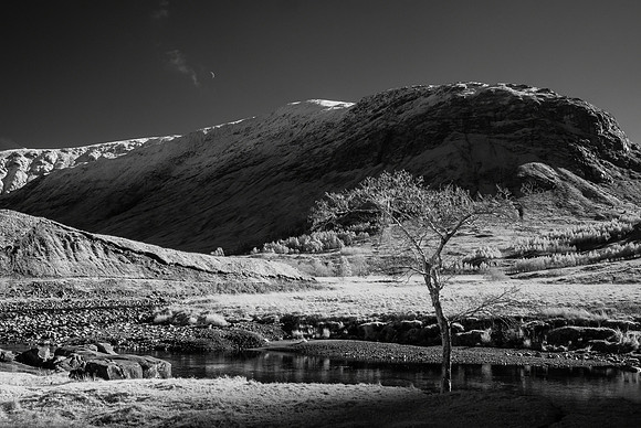 Glencoe